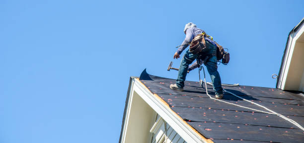 Best Roof Gutter Cleaning  in Deerfield, WI